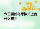 今日更新鳥尿掉頭上有什么預(yù)兆