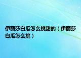 伊麗莎白瓜怎么挑甜的（伊麗莎白瓜怎么挑）