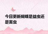 今日更新蝴蝶是益蟲還是害蟲
