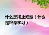 什么是終止妊娠（什么是終身學(xué)習(xí)）