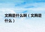 文胸是什么?。ㄎ男厥鞘裁矗? /></span></a>
                        <h2><a href=