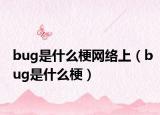 bug是什么梗網(wǎng)絡(luò)上（bug是什么梗）
