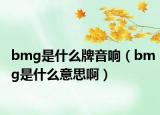 bmg是什么牌音響（bmg是什么意思啊）