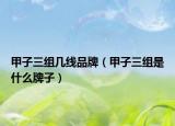 甲子三組幾線品牌（甲子三組是什么牌子）