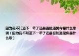 因?yàn)槲也恢老乱惠呑舆€是否能遇見(jiàn)你是什么歌詞（因?yàn)槲也恢老乱惠呑舆€是否能遇見(jiàn)你是什么歌）