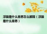 浮躁是什么意思怎么解釋?zhuān)ǜ≡晔鞘裁匆馑迹? /></span></a>
                        <h2><a href=