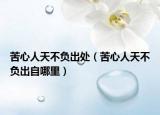 苦心人天不負出處（苦心人天不負出自哪里）