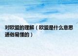 對歐盟的理解（歐盟是什么意思通俗易懂的）