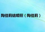 陶佳莉結(jié)婚照（陶佳莉）