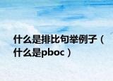 什么是排比句舉例子（什么是pboc）