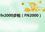 fn2000步槍（FN2000）