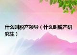 什么叫脫產(chǎn)領(lǐng)導(dǎo)（什么叫脫產(chǎn)研究生）