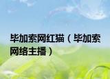 畢加索網(wǎng)紅貓（畢加索 網(wǎng)絡(luò)主播）