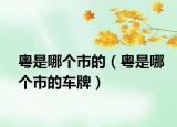 粵是哪個(gè)市的（粵是哪個(gè)市的車(chē)牌）