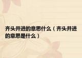 齊頭并進的意思什么（齊頭并進的意思是什么）