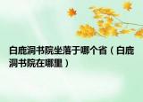 白鹿洞書院坐落于哪個(gè)?。ò茁苟磿涸谀睦铮? /></span></a>
                        <h2><a href=