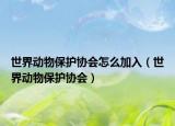 世界動物保護(hù)協(xié)會怎么加入（世界動物保護(hù)協(xié)會）