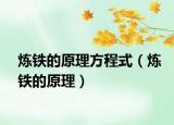 煉鐵的原理方程式（煉鐵的原理）