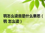 鶚怎么讀音是什么意思（鶚 怎么讀）