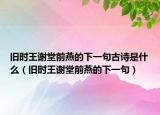 舊時(shí)王謝堂前燕的下一句古詩(shī)是什么（舊時(shí)王謝堂前燕的下一句）