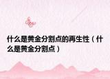 什么是黃金分割點(diǎn)的再生性（什么是黃金分割點(diǎn)）