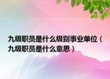 九級職員是什么級別事業(yè)單位（九級職員是什么意思）