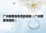 廣州哪里有免費的核酸（廣州哪里有蹦極）