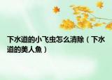 下水道的小飛蟲(chóng)怎么清除（下水道的美人魚）