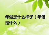 年俗是什么樣子（年俗是什么）
