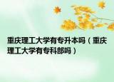 重慶理工大學(xué)有專升本嗎（重慶理工大學(xué)有?？撇繂幔? /></span></a>
                        <h2><a href=