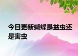今日更新蝴蝶是益蟲還是害蟲
