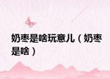 奶棗是啥玩意兒（奶棗是啥）