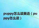 puppy怎么讀英語(yǔ)（puppy怎么讀）