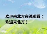 歡迎來北方在線觀看（歡迎來北方）