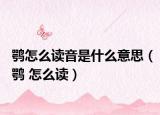 鶚怎么讀音是什么意思（鶚 怎么讀）