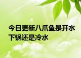 今日更新八爪魚是開水下鍋還是冷水