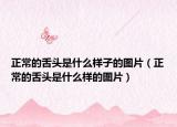 正常的舌頭是什么樣子的圖片（正常的舌頭是什么樣的圖片）