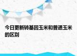 今日更新轉(zhuǎn)基因玉米和普通玉米的區(qū)別