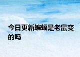 今日更新蝙蝠是老鼠變的嗎