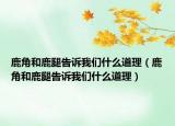鹿角和鹿腿告訴我們什么道理（鹿角和鹿腿告訴我們什么道理）