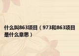 什么叫863項目（973和863項目是什么意思）
