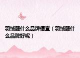 羽絨服什么品牌便宜（羽絨服什么品牌好呢）