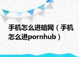 手機(jī)怎么進(jìn)暗網(wǎng)（手機(jī)怎么進(jìn)pornhub）