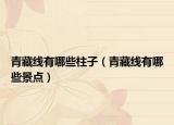 青藏線有哪些柱子（青藏線有哪些景點(diǎn)）
