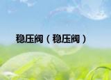 穩(wěn)壓閥（穩(wěn)壓閥）