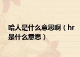 哈人是什么意思?。╤r是什么意思）