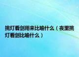 挑燈看劍用來(lái)比喻什么（夜里挑燈看劍比喻什么）