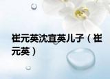 崔元英沈宜英兒子（崔元英）