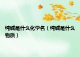 純堿是什么化學(xué)名（純堿是什么物質(zhì)）