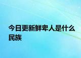 今日更新鮮卑人是什么民族